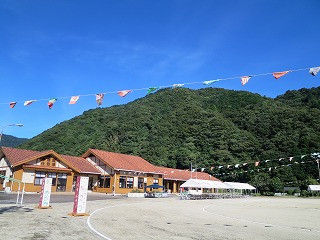 IMG_3390