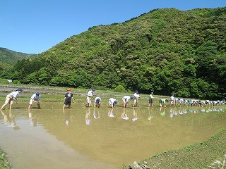 IMG_1366