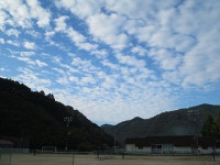 1002 いわし雲