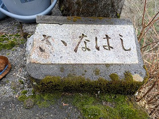 PXL_20260301_234354731